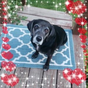 Meet your Posher, Michele